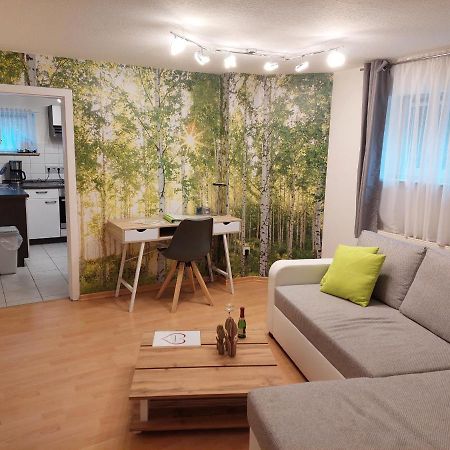 Wohnung Im Dreistaedteeck نورنبيرغ المظهر الخارجي الصورة